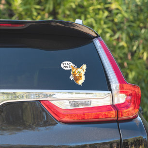 Sticker Chat Drôle Reste Animal Sauvage Animal De Compagni