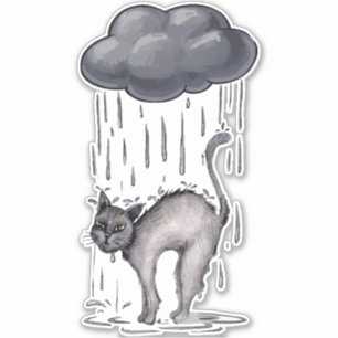 Sticker Chat gris le jour de la pluie
