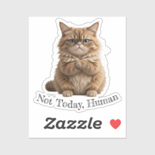 Sticker Chat Grumpy "Pas aujourd'hui, humain" Drôle Mème a