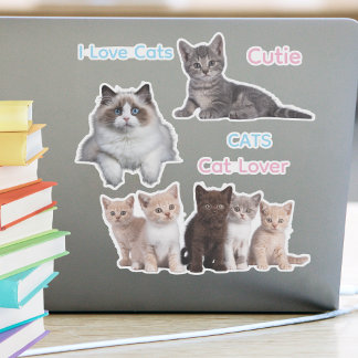 Sticker Chat mignon et amoureux des chats idiot