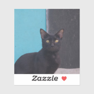 Sticker Chat noir surpris