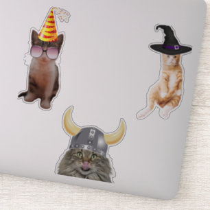 Sticker Chat Portant un Casquette