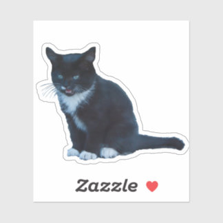 Sticker Chaton noir Tuxedo assis meaux