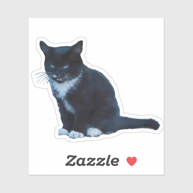 Sticker Chaton noir Tuxedo assis meaux (Feuille)