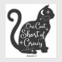 chatte noir fou