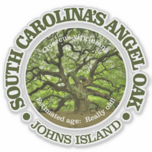 Sticker Chêne d'ange