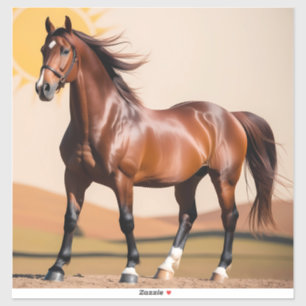 Sticker cheval américain
