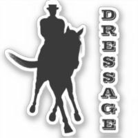 Cheval De Dressage Et Rider