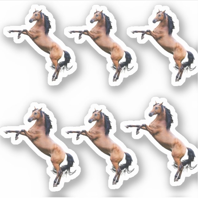 Sticker Chevaux (Devant)