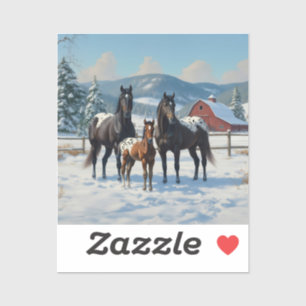 Sticker Chevaux Appaloosa noirs sur une ferme en hiver