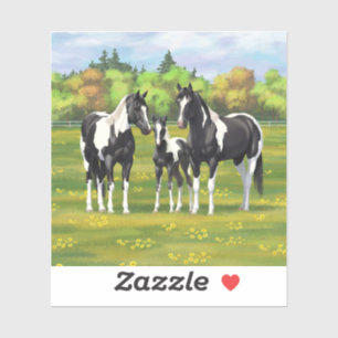 Sticker Chevaux De Peinture De Pinto Noir En Pâturage Été