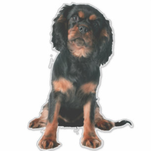 Sticker Chien à chiots du roi Charles d'Espagne