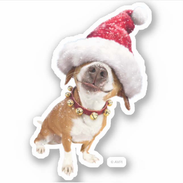 Sticker Chien avec grand chapeau de Père Noël (Devant)