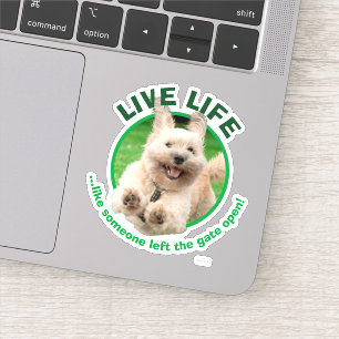 Sticker Chien Courant Dans Le Jardin