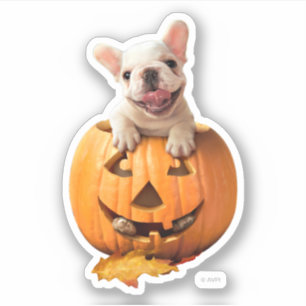 Sticker Chien dans Jack-o-Lantern