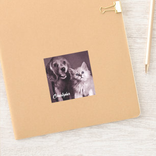 Sticker Chien et Chat, Recherche Personnalisée