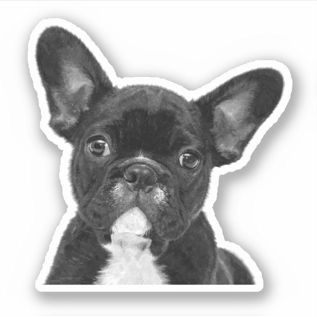 Sticker Chien-taureau français noir et blanc (Devant)