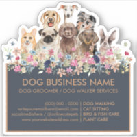 Chiens Carlin Greyhound Corgi Aussie Bouledogue fr