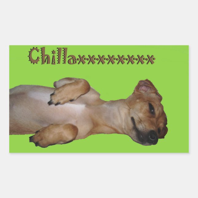 Sticker Chillaxin Chiweenie (Devant)