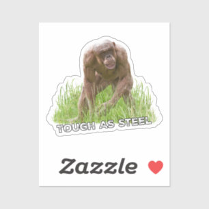 Sticker Chimie Sans Cheveux Dur En Acier