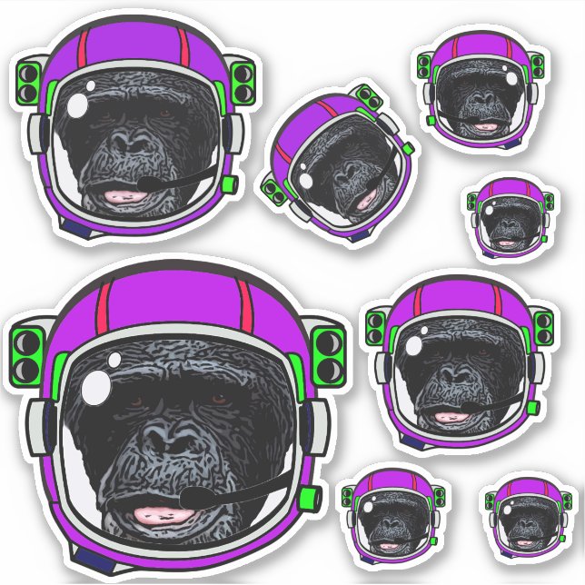 Sticker Chimp. spatial (Devant)