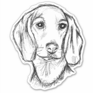 Sticker chiot teckel noir blanc croquis simple stic