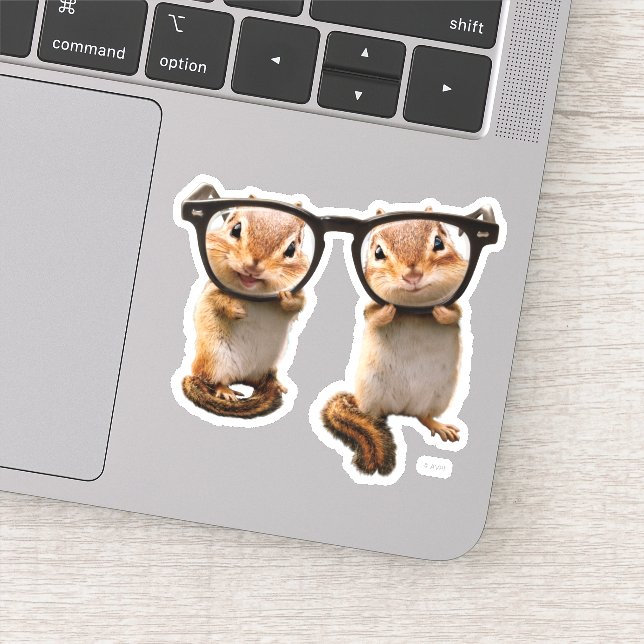 Sticker Chipmunks dans les lunettes de lecture (Détail)