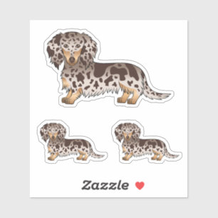 Sticker Chocolat Et Tan Dapple Cheveux Longue Chiens