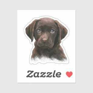 Sticker Chocolat Labrador