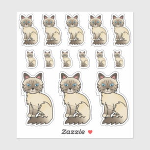 Sticker Chocolat Point Tabby Birman/Ragdoll Cartographie C