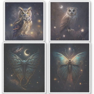 Sticker Chouette magique en bois. Mystique papillon noctur