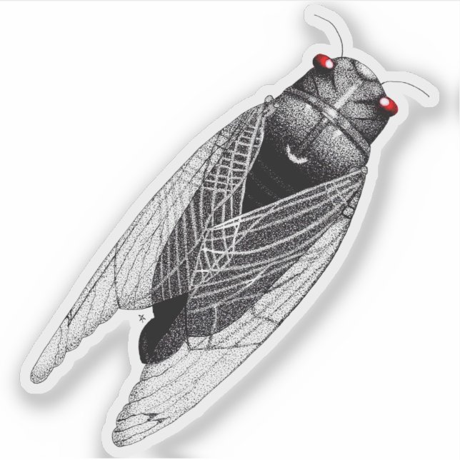Sticker Cicada (Devant)