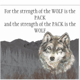 Sticker Citation inspirante Gray Wolf Mountain Animal