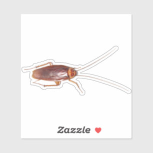 Sticker Cockroach