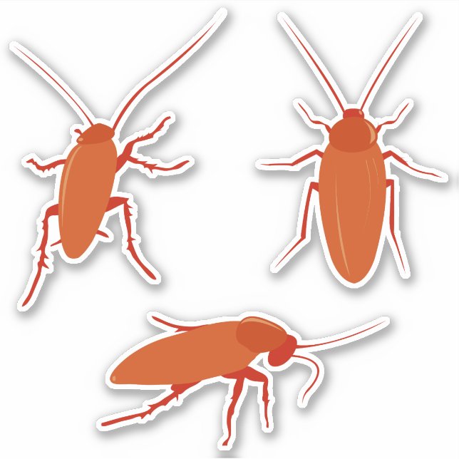 Sticker Cockroach (Devant)
