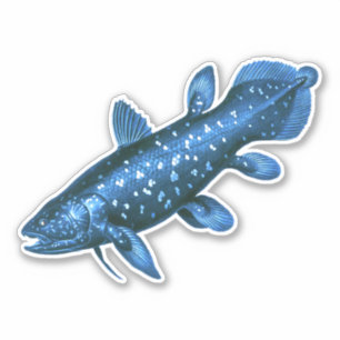 Sticker Coelacanth