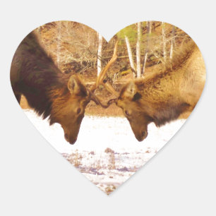Sticker Cœur 2~ deux Bull Elk dans la neige