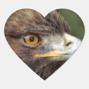 Sticker Cœur aigle royal