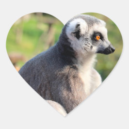 Sticker Cœur Amour sauvage : Pour l'Australie