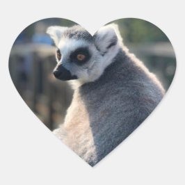 Sticker Cœur Amour sauvage : Pour l'Australie
