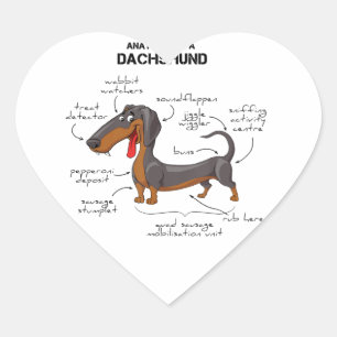 Sticker Cœur Anatomie D'Un Dachshund - Drôle Chien