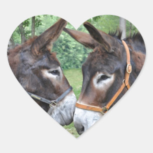 Sticker Cœur Ânes dans l'amour