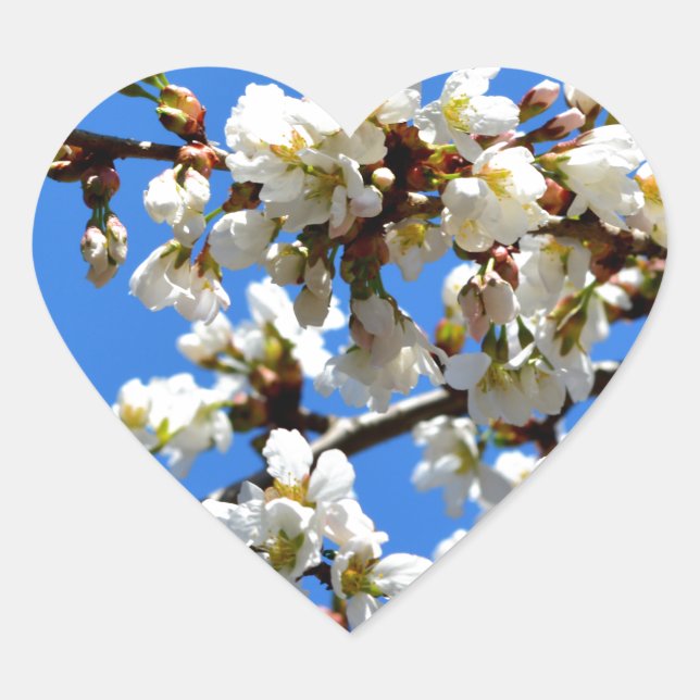 Sticker Cœur Arbre de printemps blanc fleuri blanc (Devant)