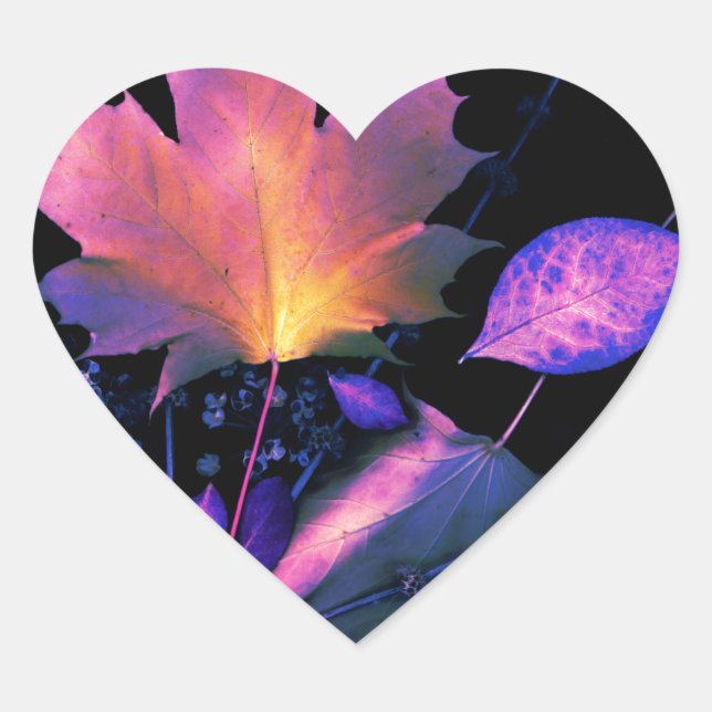 Sticker Cœur Autumn Leaves (Devant)