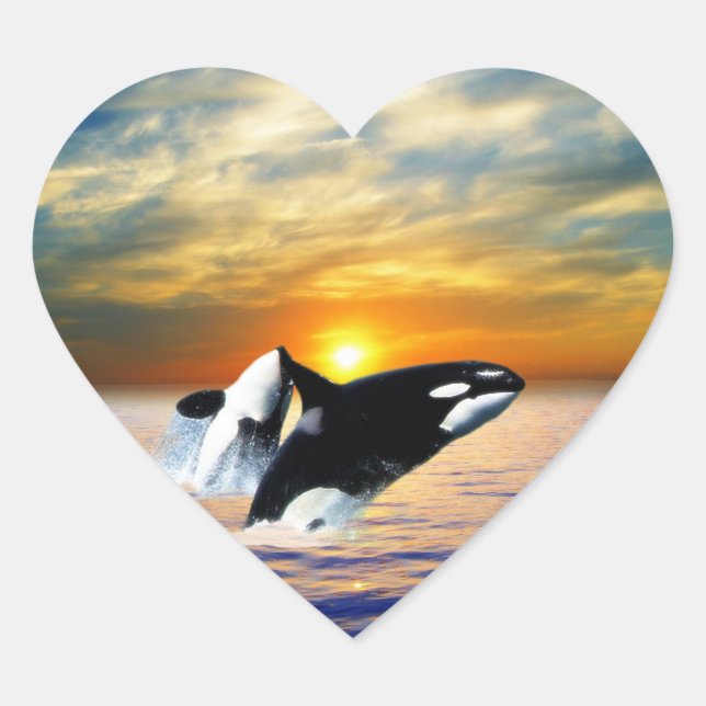 Sticker Cœur Baleines au coucher du soleil (Devant)