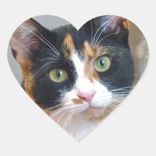 Sticker Cœur Bandit