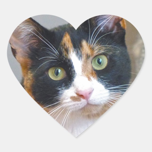 Sticker Cœur Bandit (Devant)