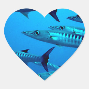 Sticker Cœur barracuda plongée haute mer eau tropicale vague