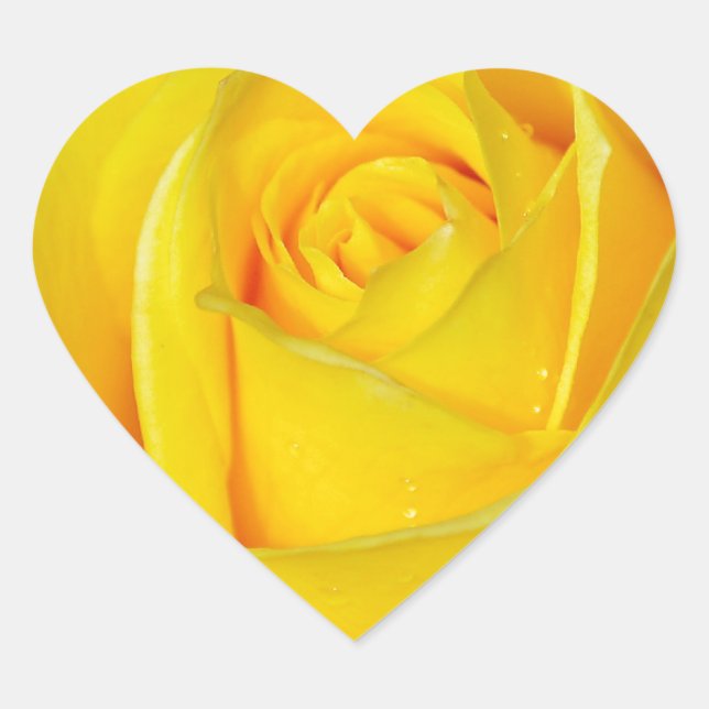 Sticker Cœur Beau pétales de rose jaune (Devant)