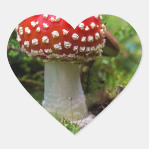 Sticker Cœur Beauté d'automne